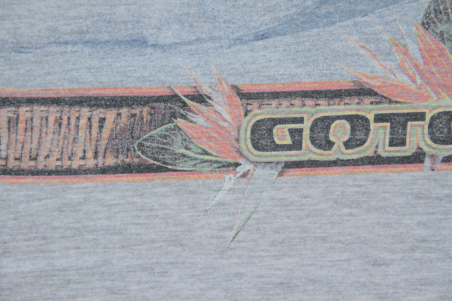 Gotcha Vintage T-Shirt
