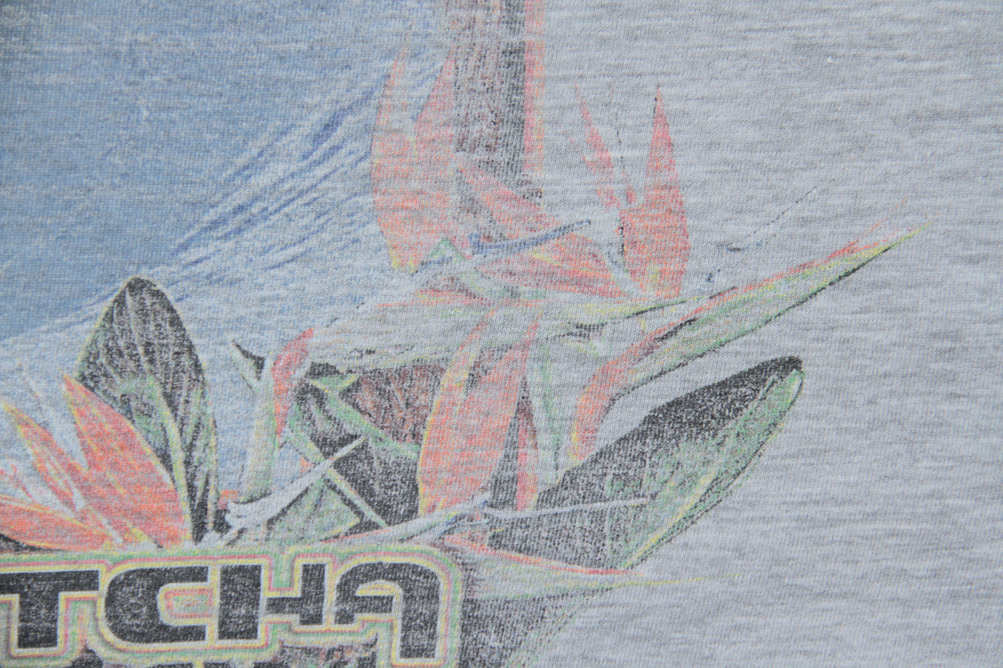 Gotcha Vintage T-Shirt